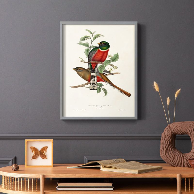 «Elegant Trogons I», reproduction encadrée - bois massif, Cadre simple gris, H 10 po x l 8 po