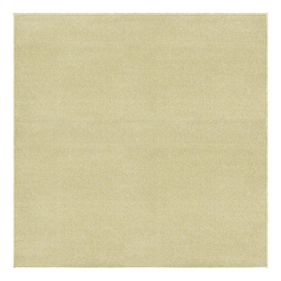  Performance Pastel Green Rug