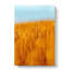 Wheatfield In Germany - Wrapped Canvas Print-56634667