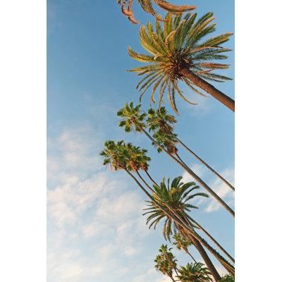 California Palm Trees by TraceRouda - Wrapped Canvas Print