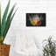 "Pepper Splash" par Luxe-707345695