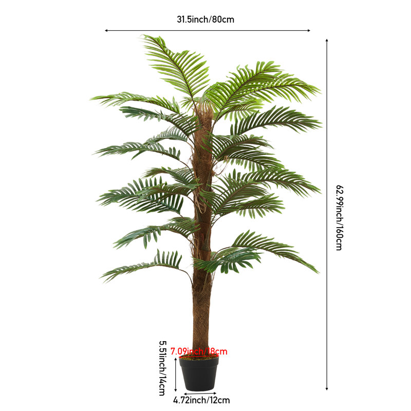Plant, 160cm H x 80cm W x 80cm D