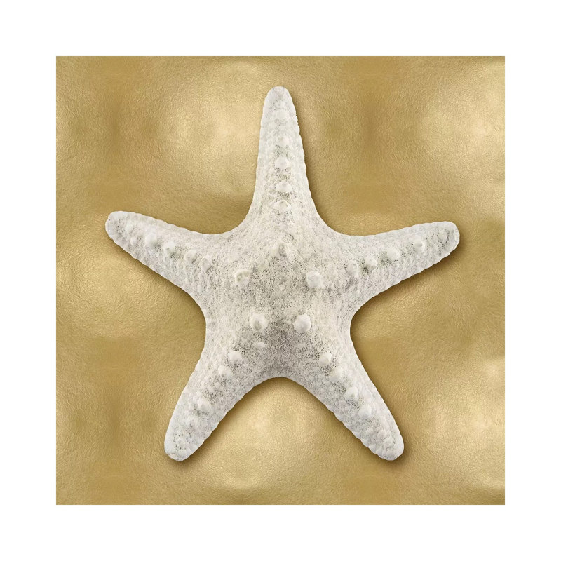 Shell On Gold VI by Caroline Kelly - Wrapped Canvas Painting, 93.98 cm H x 93.98 cm W x 1.91 cm D
