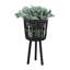 S / 3 POT DE BAMBOU 11/13/15 po