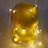 118'' LED String Lights