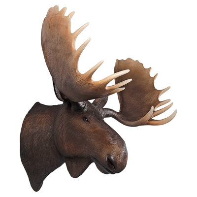 Sculpture murale North American Majestic