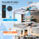 52" Ceiling Fan with Light Kit and Remote Control