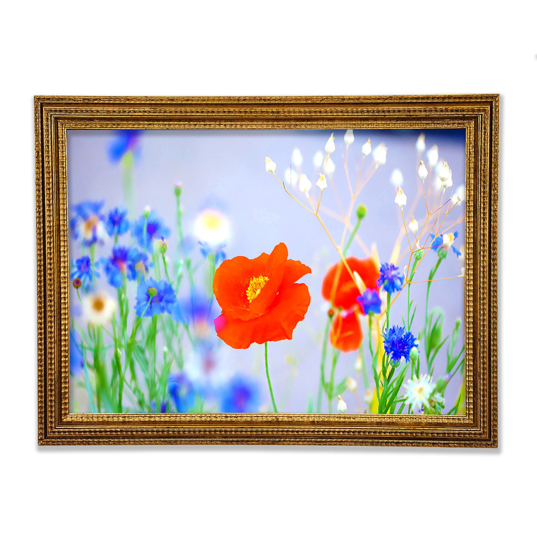 Lovely Poppy Garden Gerahmter Druck