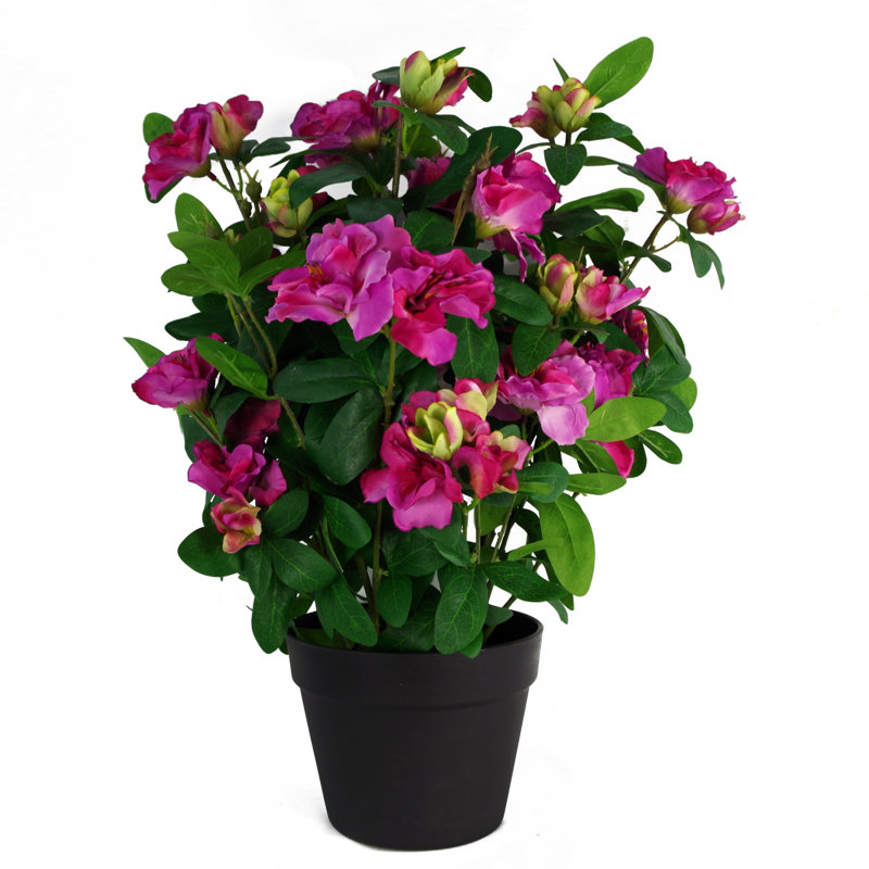 Ansa 50cm Faux Tree in Pot