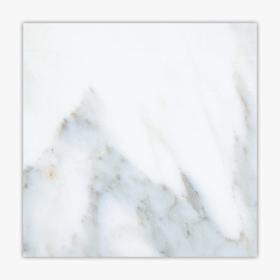 24 in. x 24 in. Honed Marble Tile