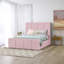 Bigyan Upholstered Ottoman Storage Bed-1455951610-1455951587