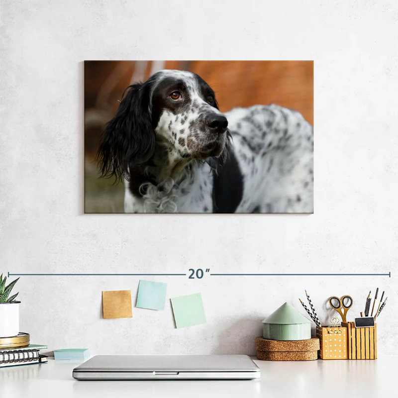 Crowle Spotted English Setter, 8" H x 12" W