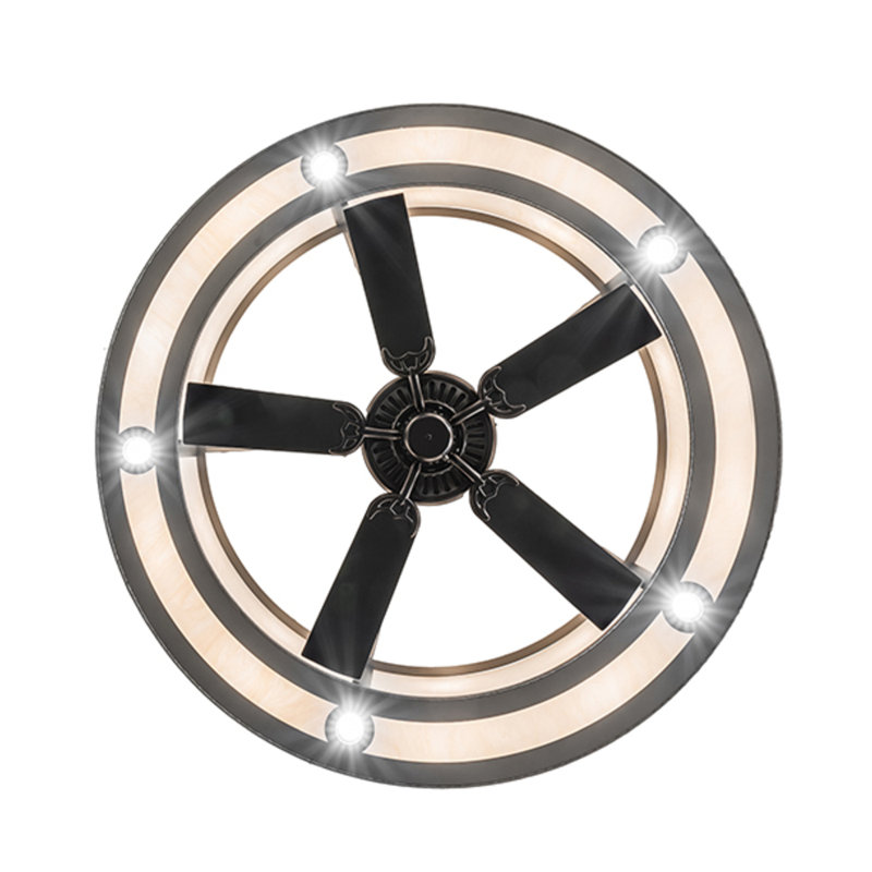 Personalized Downrod Ceiling Fan
