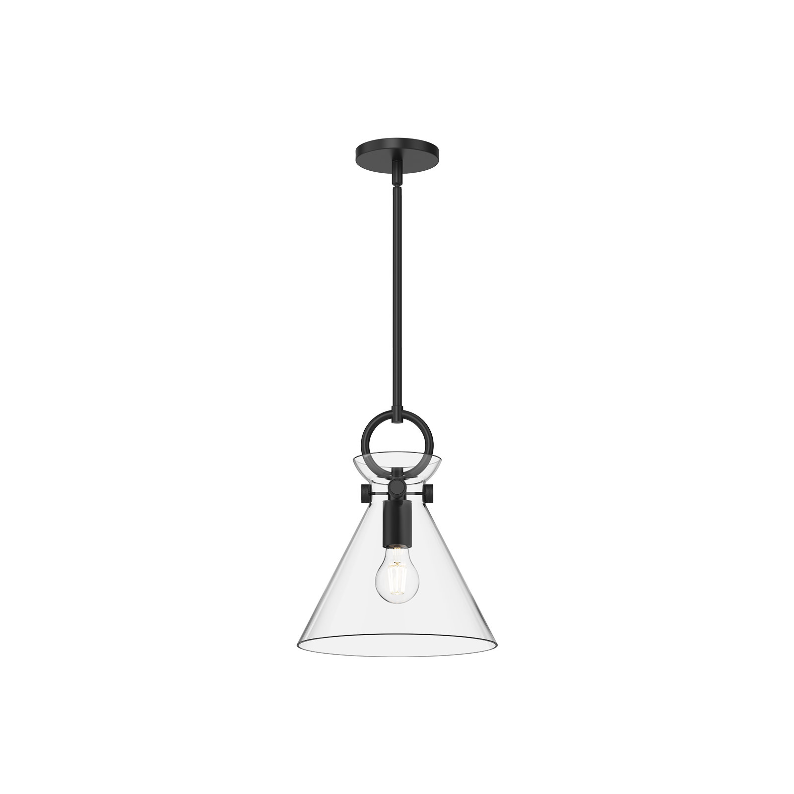 Tiney Single Light Glass Steel Pendant, 12.75" H x 10.5" W x 10.5" D, Matte Black/Clear