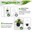 Paquet de 2 jardinières suspendues pour plantes d'intérieur avec pot de 5,5 po + crochet de plafond + chaîne d'extension | Support à plante à suspendre, pot à fleurs minimaliste en métal, sans plante incluse