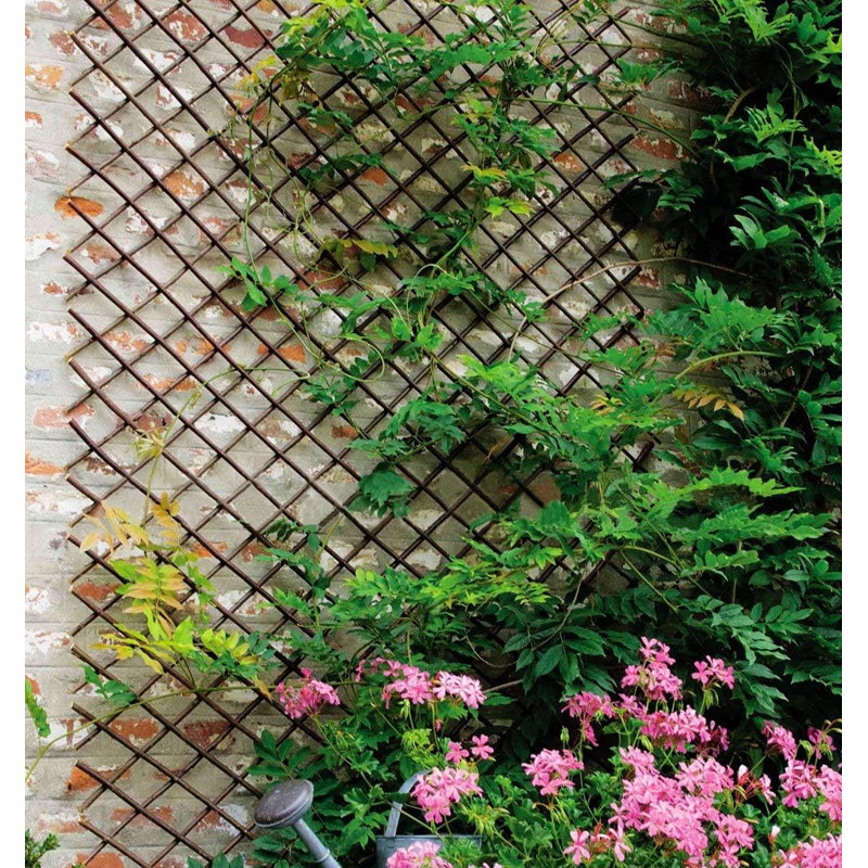 Clôture treillis extensible Fence Willow