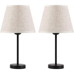 https://assets.wfcdn.com/im/35557707/resize-h300-w300%5Ecompr-r85/2637/263742954/Allory+Metal+Table+Lamp.jpg