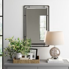 Modern Industrial Steel Metal Double-Framed Bathroom Mirror with a Shelf –  Simplicity in the South