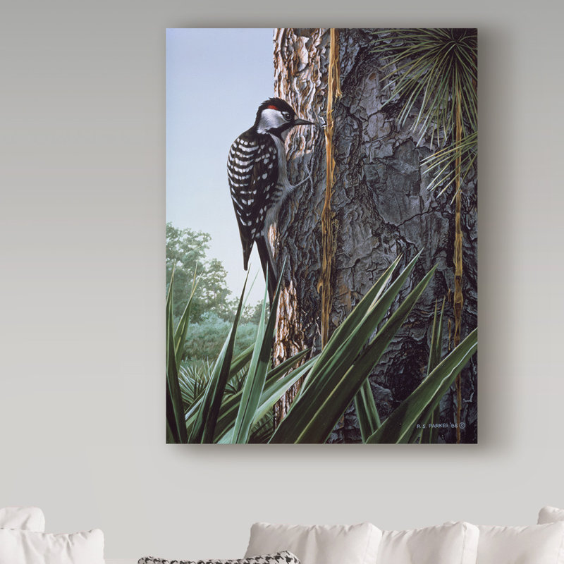 «Red Cockaded Woodpecker» par Etelca, impression sur toile tendue, H 19 po x l 14 po x P 2 po