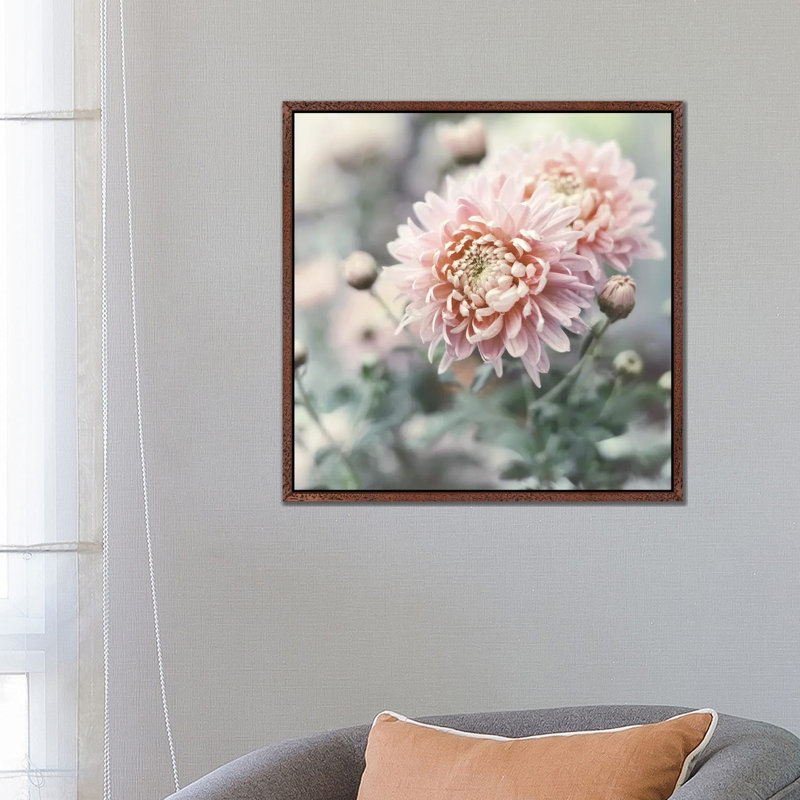 Muted Daisy by Sarah Gardner - Print on Canvas, 66.04 cm H x 66.04 cm W, Brown Floater Frame