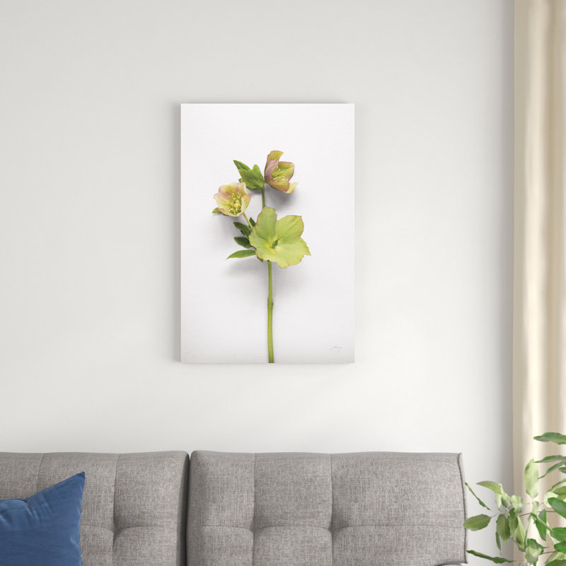 Hellebore Study I, H 30 po x l 20 po x P 1,25 po