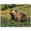 4.25'' x 4.25'' Satin Ceramic Decorative Mural
