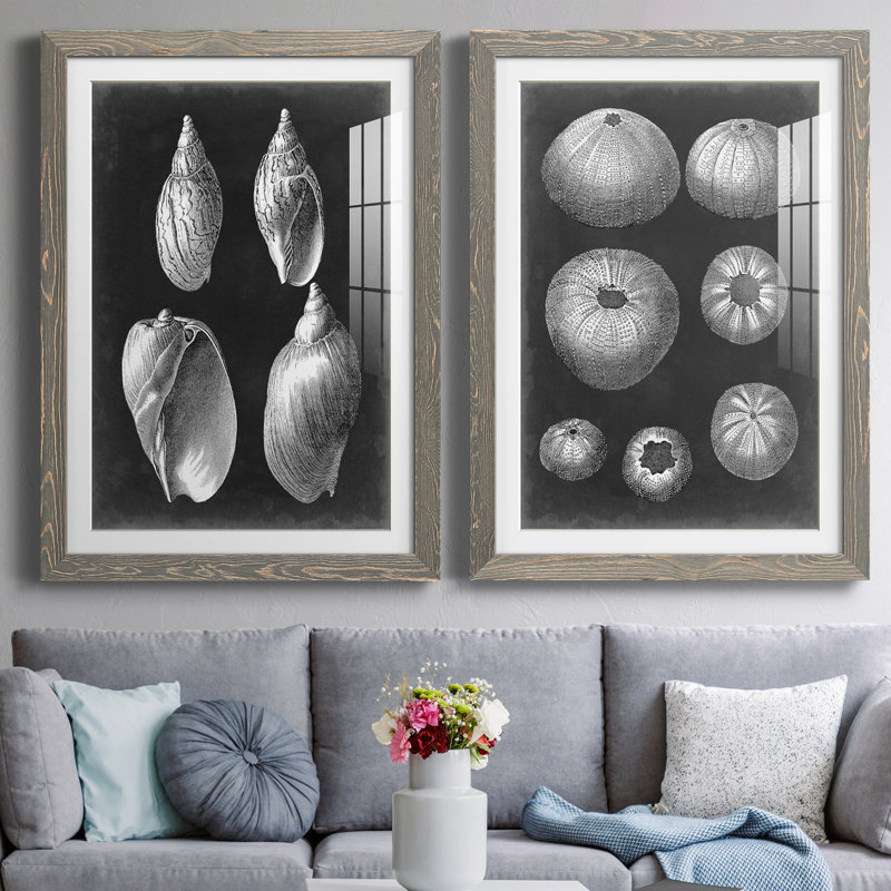 Alabaster Shells II, reproduction d'art encadrée - prête à être accrochée, H 31,5 po x l 47 po x P 1,5 po