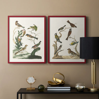 Oiseaux antiques dans la nature, impression encadrée de qualité supérieure - prête à être accrochée - aucun clou requis - aucun clou requis