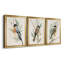 Tree Toppers I - Ensemble de 3 peintures sur toile encadrées-1031297092-1031297113