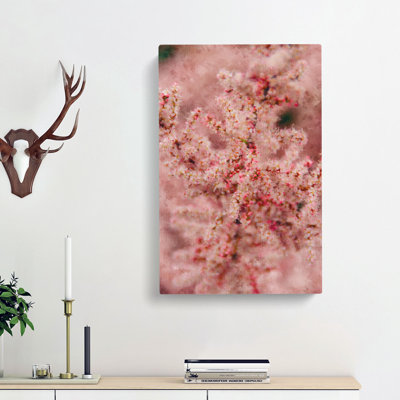 Cherry Blossom - Wrapped Canvas
