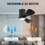 Apolino 42'' Ceiling Fan with LED Lights-710922636-710922637
