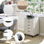 Carraway 5 -Drawer Wooden Filing Cabinet