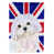 Bichon maltais (blanc et mauve)
