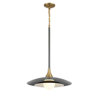 Luminaire suspendu 1 lumière Welsh