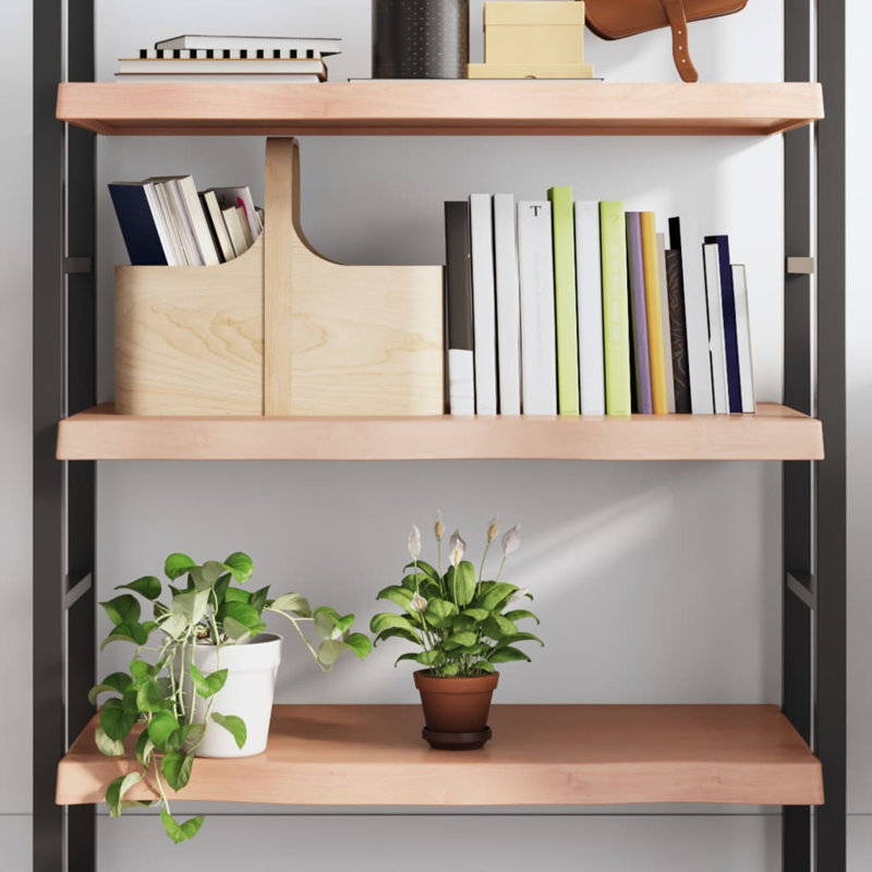 Clintonpark Oak Solid Wood Floating Shelf, 6 cm H x 100 cm W x 60 cm D