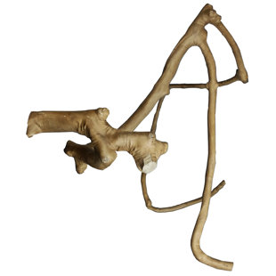 Perchoir multi branches en bois A & e Cage Co. Java