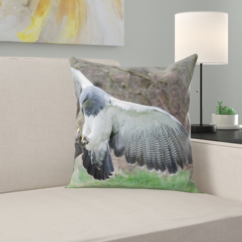 Coussin vélociraptor