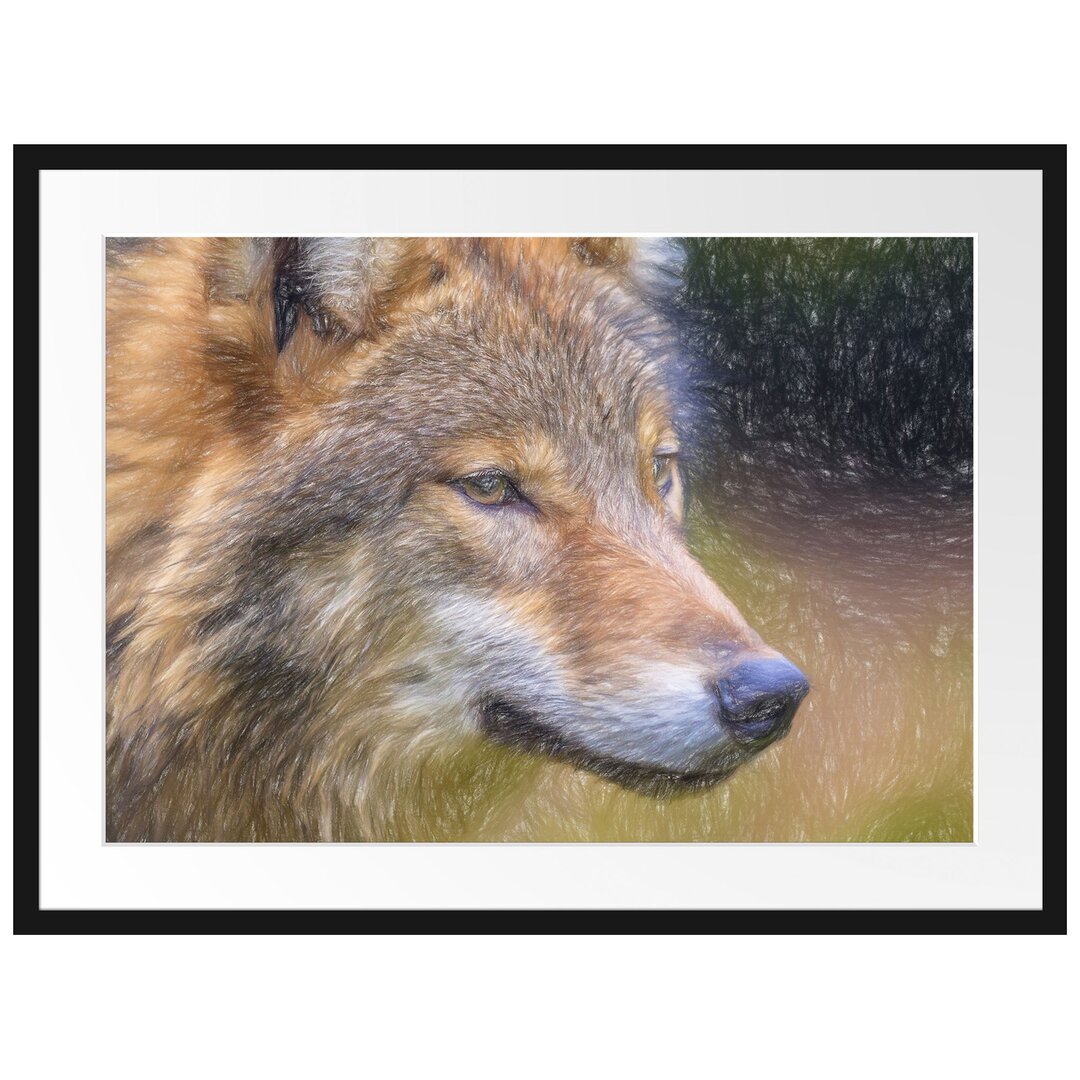 Gerahmtes Poster Porträt des europäischen Wolfes