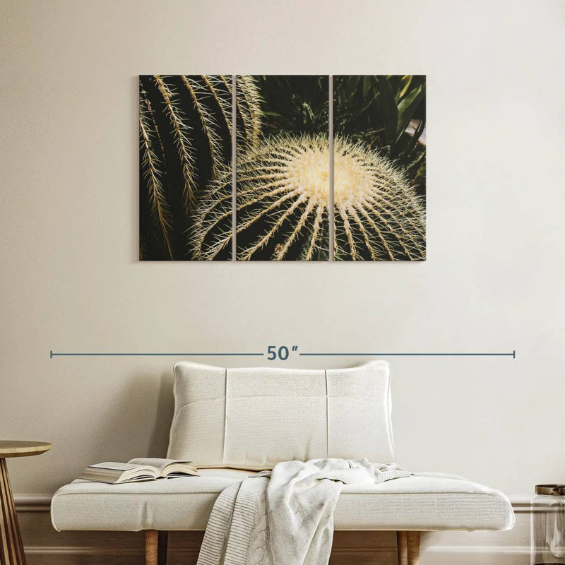 Harnek Barrel Cactus, 24" H x 38" W