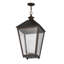 Greenbriar Oak 1 - Light Pendant