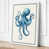 White Border