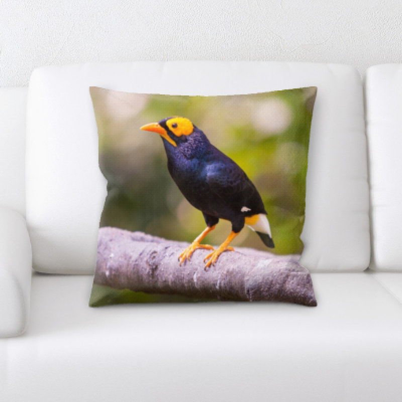 Coussin oiseau