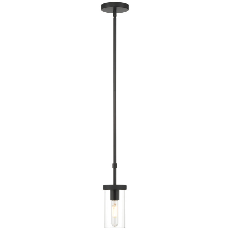 Lily 1 Light Pendant - Matte Black Finish, Matte Black