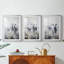 ANIMALS Series CCLX - Impression encadrée sur mesure de qualité supérieure - 3 pièces-1258542177