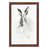 Brown Framed is unavailable