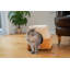 Coussin de lit pour chat moyen