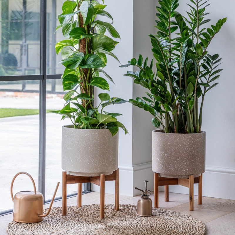 Valetta Speckled Planter with Stand , 37cm H x 28cm W x 11.02cm D, Caramel