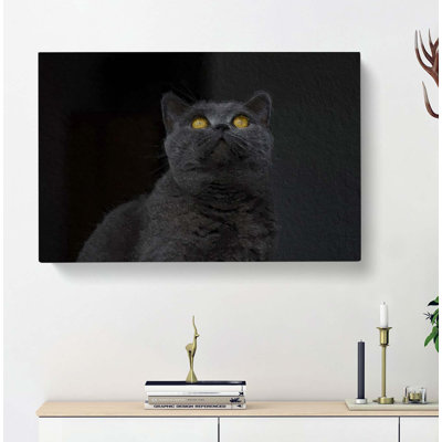British Shorthair Cat in the Shadows by - Wrapped Canvas