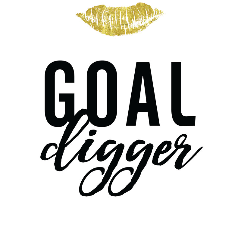 Goal Digger - Wrapped Canvas Print, 30cm H x 30cm W x 3.8cm D