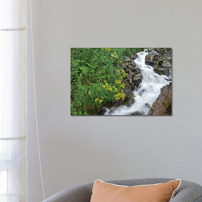 Creek Near Silverton, Colorado 1 Piece Wrapped Canvas Wall Art